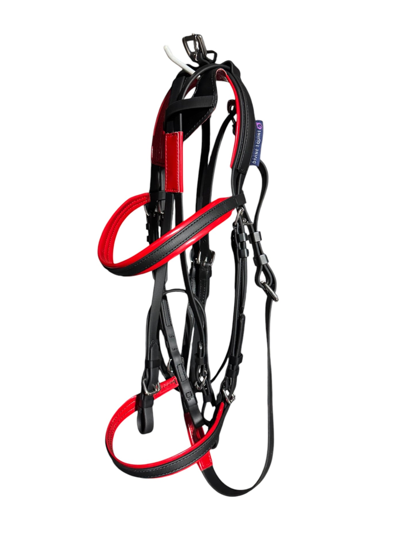 Harness Bridle with colored padding
