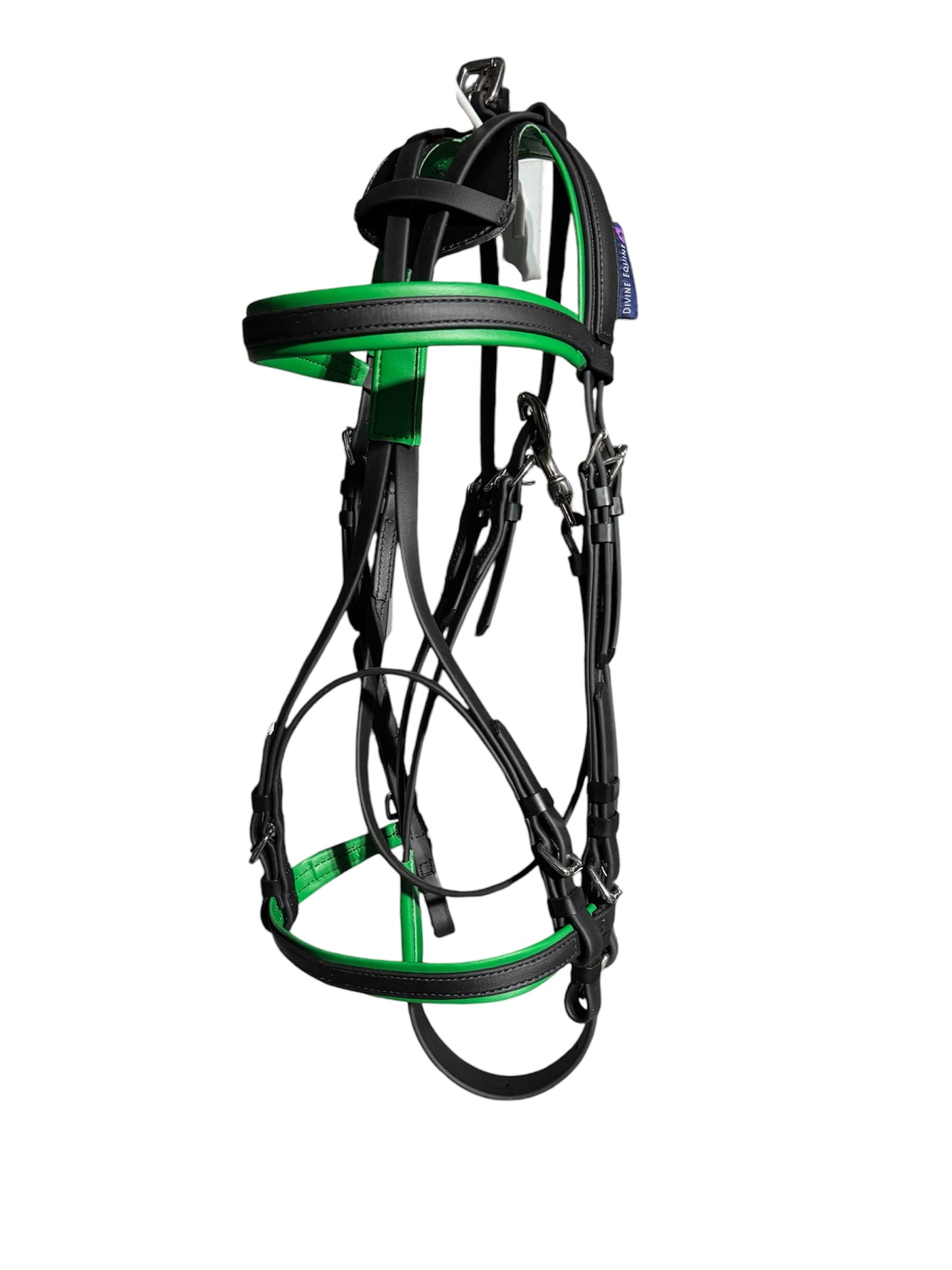 Harness Bridle with colored padding