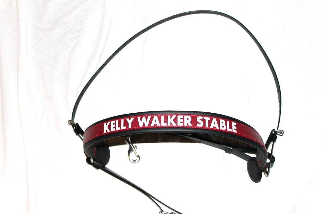 Straight across breast collar, customized with print.