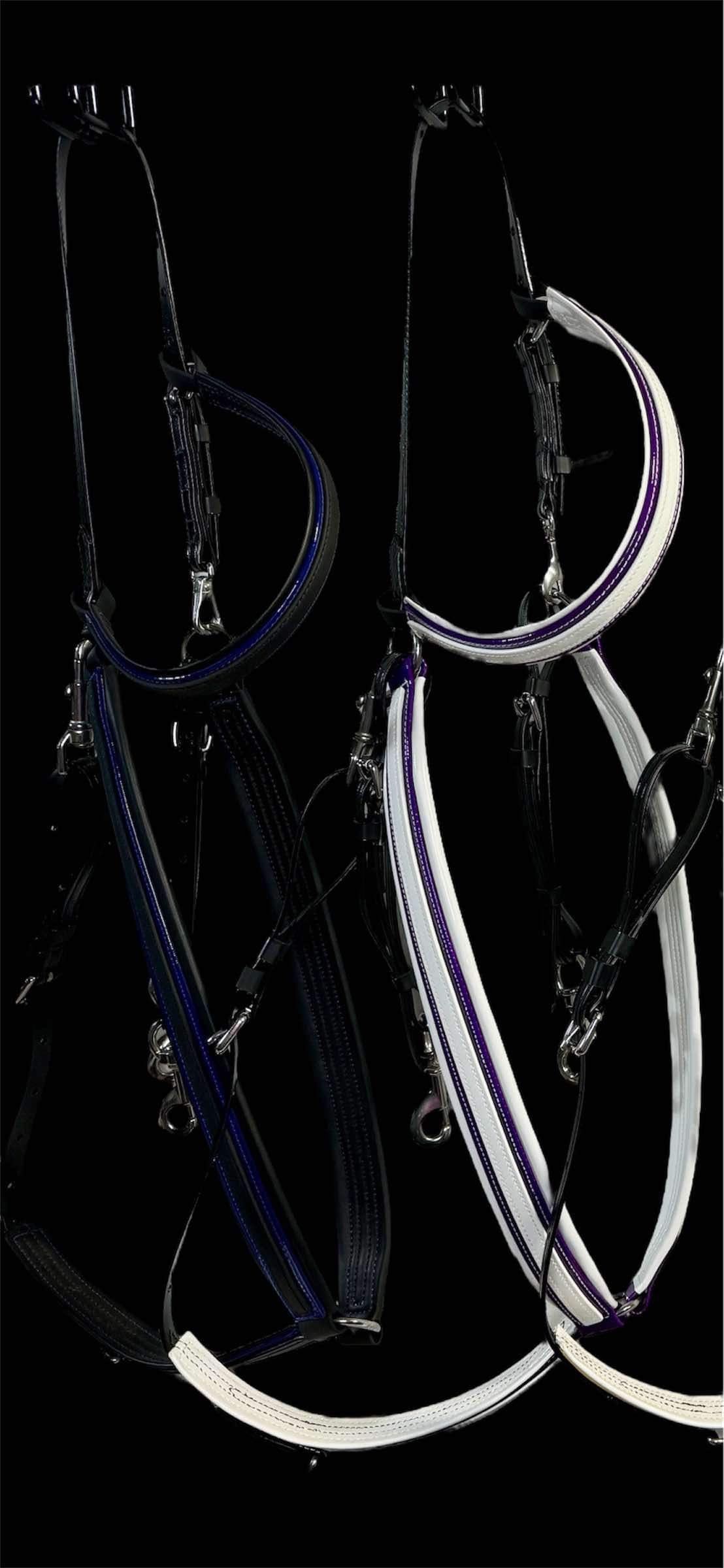 Buxton & Browband Set (Black Base)