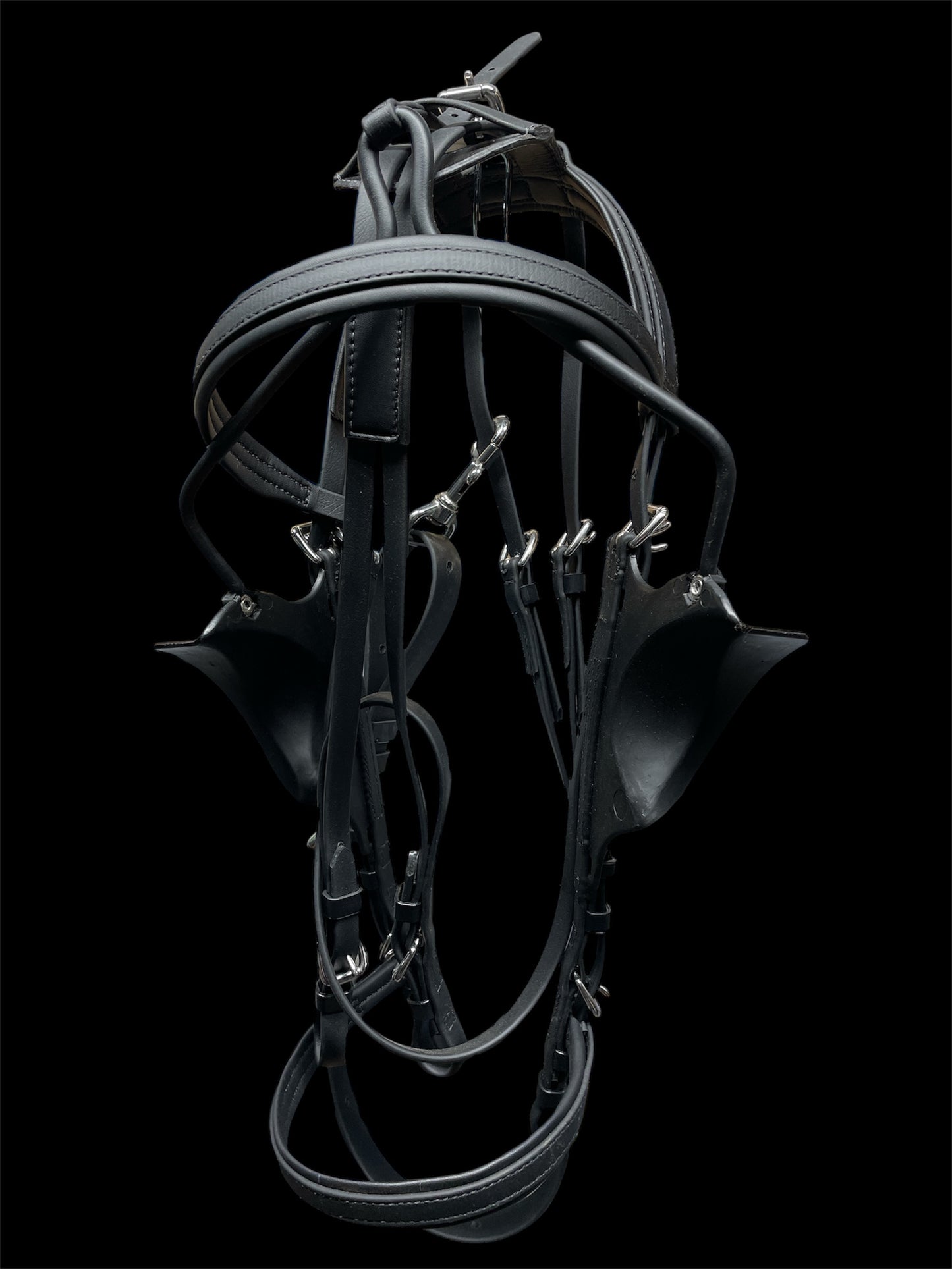Harness Bridle with colored padding
