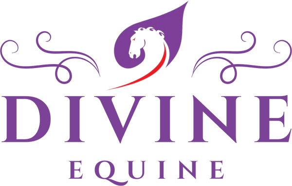 Divine Equine Custom Equipment logo
