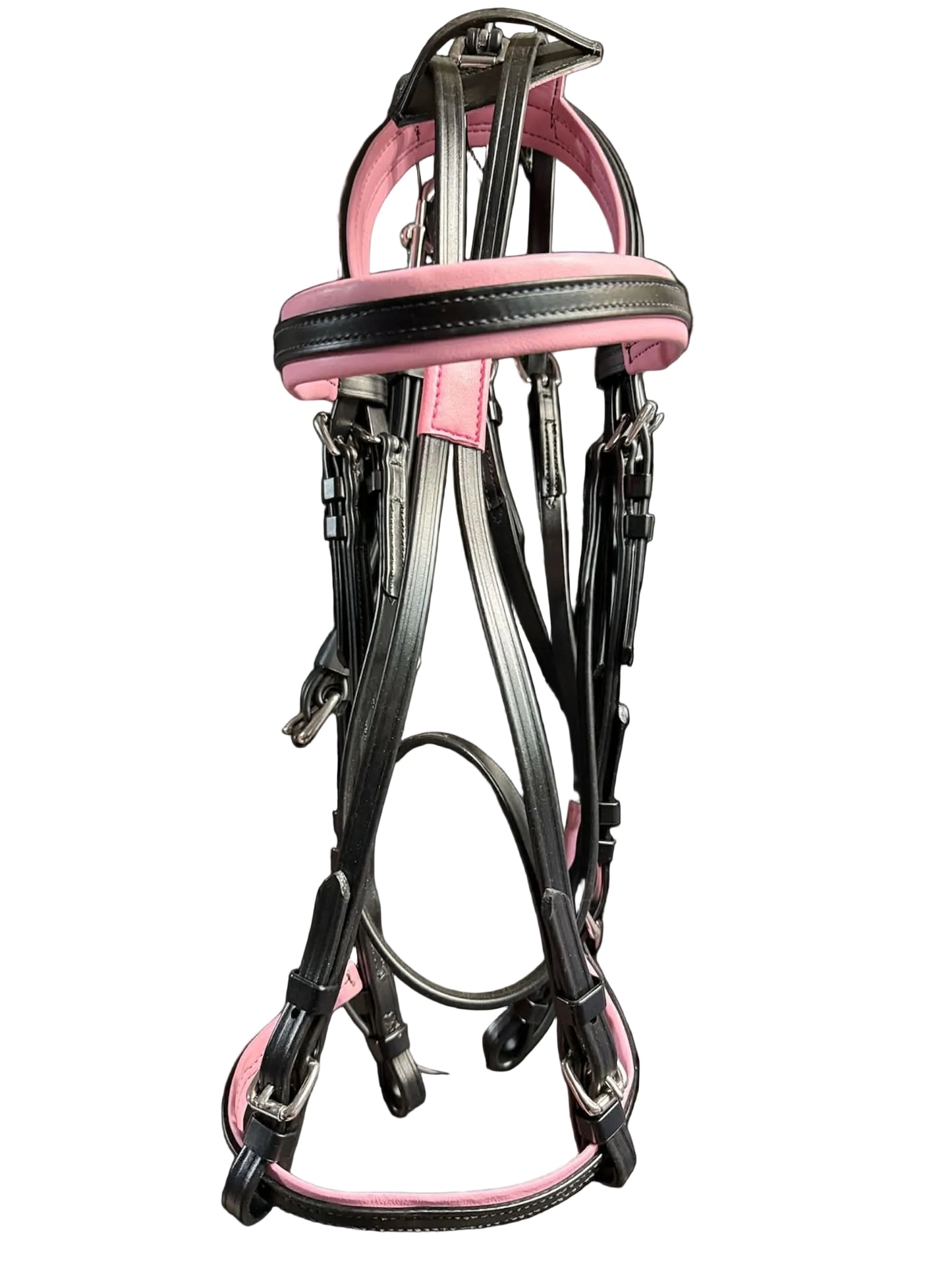 Race Bridle with colored padding