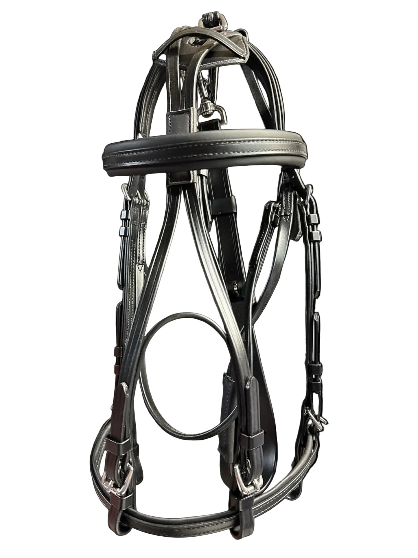 Race Bridle with colored padding