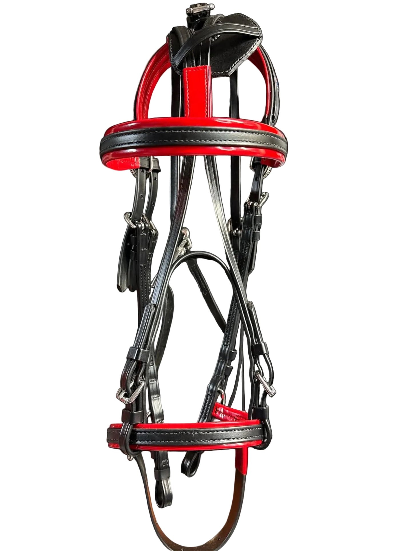 Race Bridle with colored padding