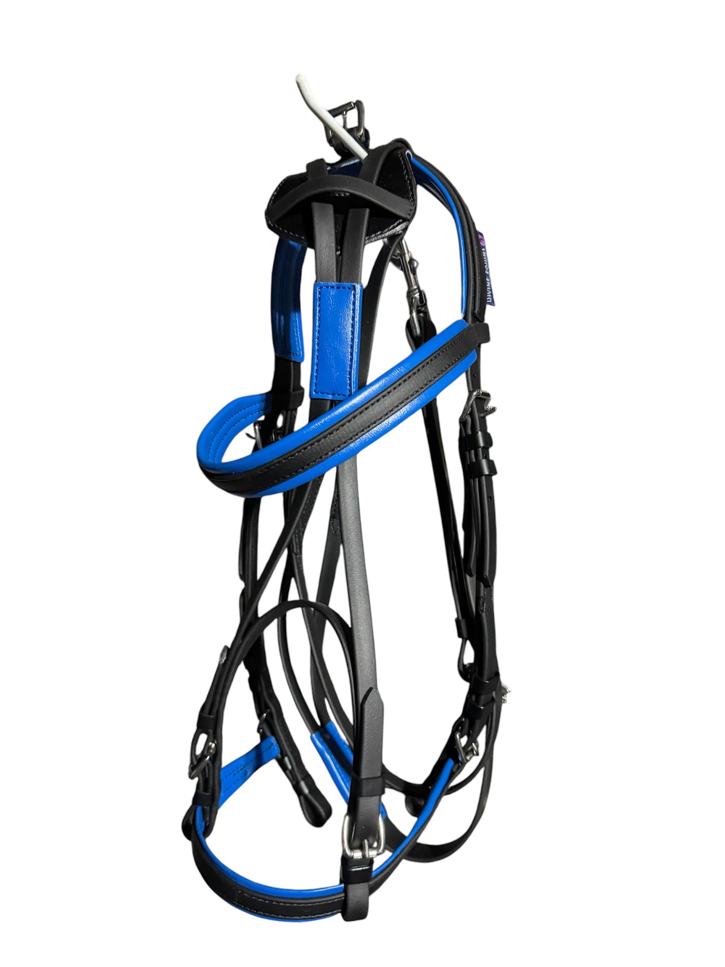 Race Bridle with colored padding