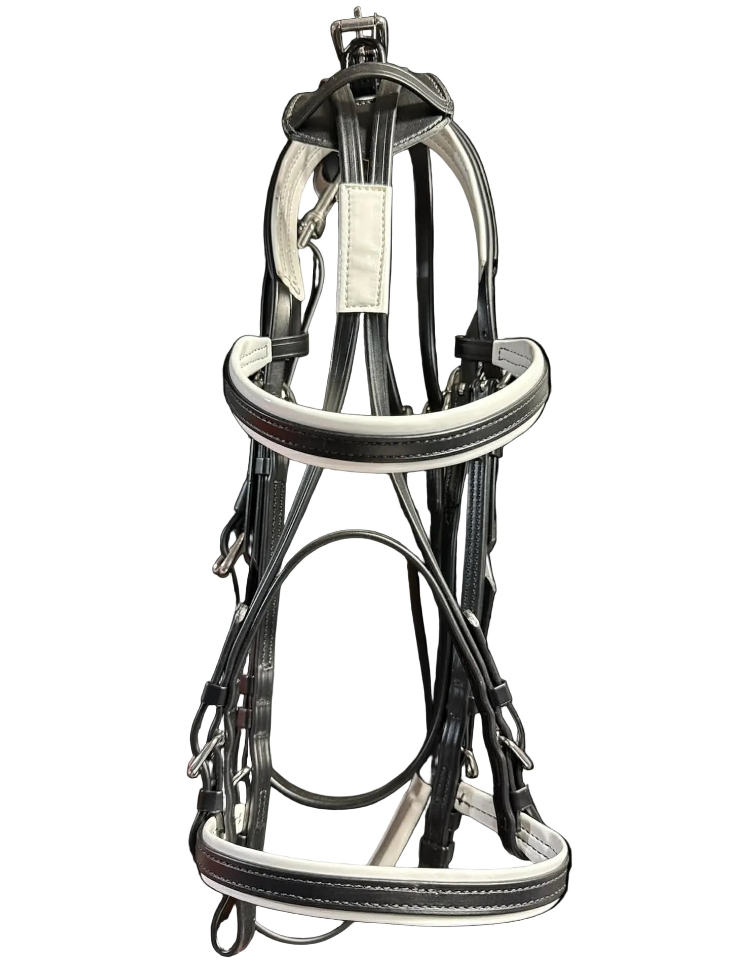 Race Bridle with colored padding
