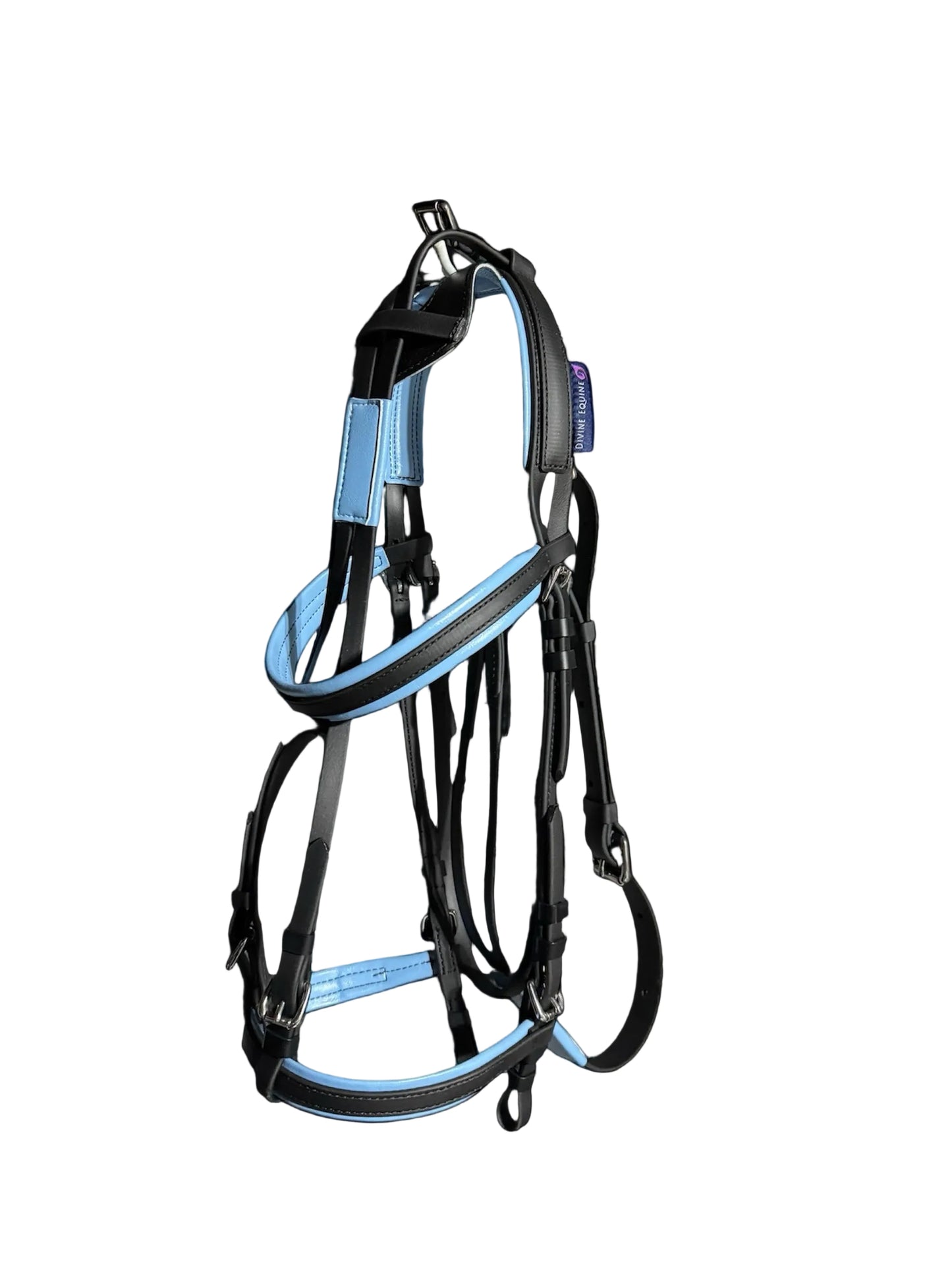 Race Bridle with colored padding