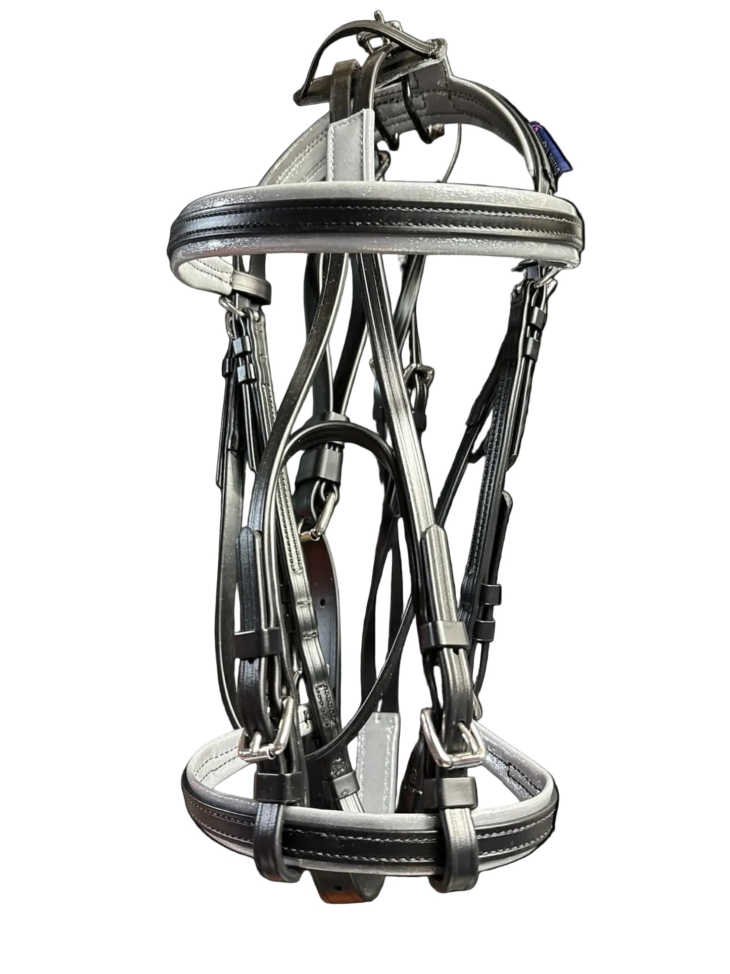 Race Bridle with colored padding