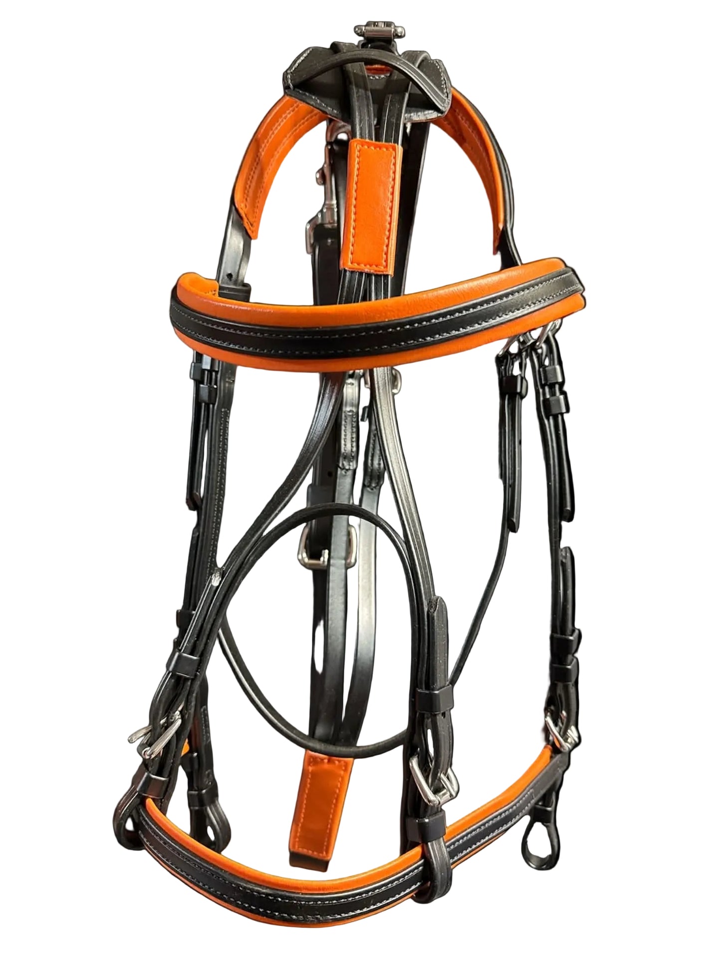 Race Bridle with colored padding