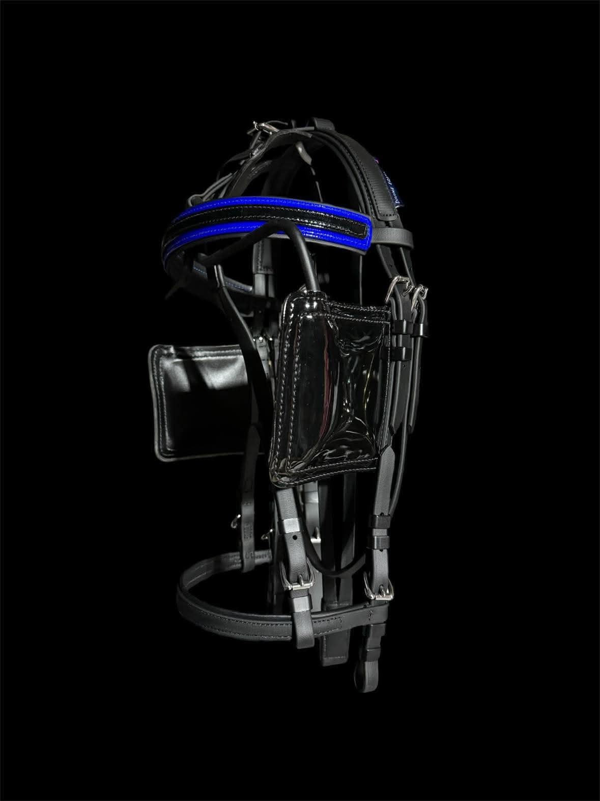 Harness Bridle