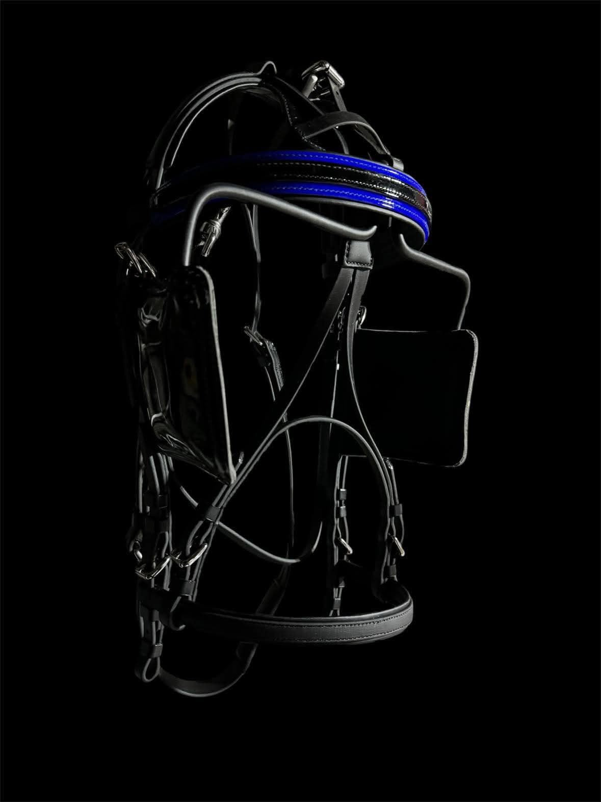 Harness Bridle