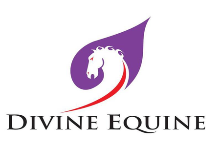 Divine Equine Custom Equipment